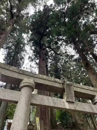 大宮温泉神社(栃木県)