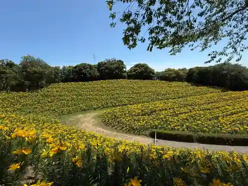 秋葉總本殿可睡斎(静岡県)