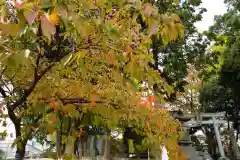 熊野福藏神社の自然