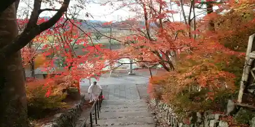 出雲大神宮の景色