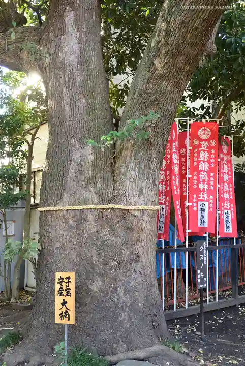 笠䅣稲荷神社の自然