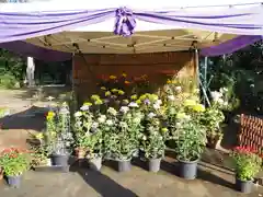 稲荷神社(東京都)