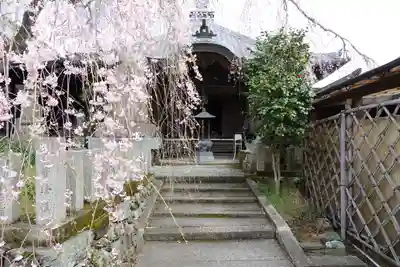 櫻本坊の本殿・本堂