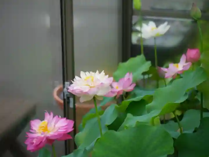 極楽山 浄土寺(北海道)