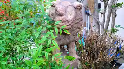 七本松神社の狛犬