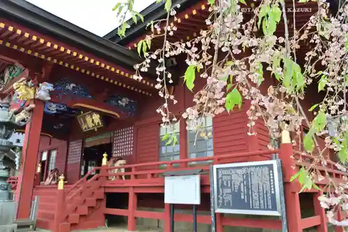 武蔵御嶽神社(東京都)