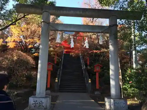 穴八幡宮の鳥居