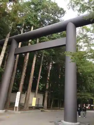 北海道神宮の鳥居