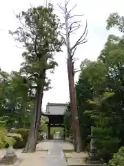 井山 宝福寺の建物その他