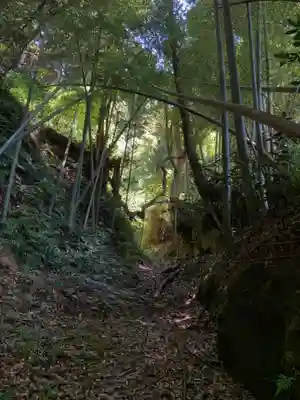 熊野神社(千葉県)