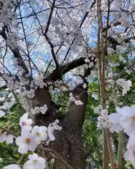 滑川神社 - 仕事と子どもの守り神の自然