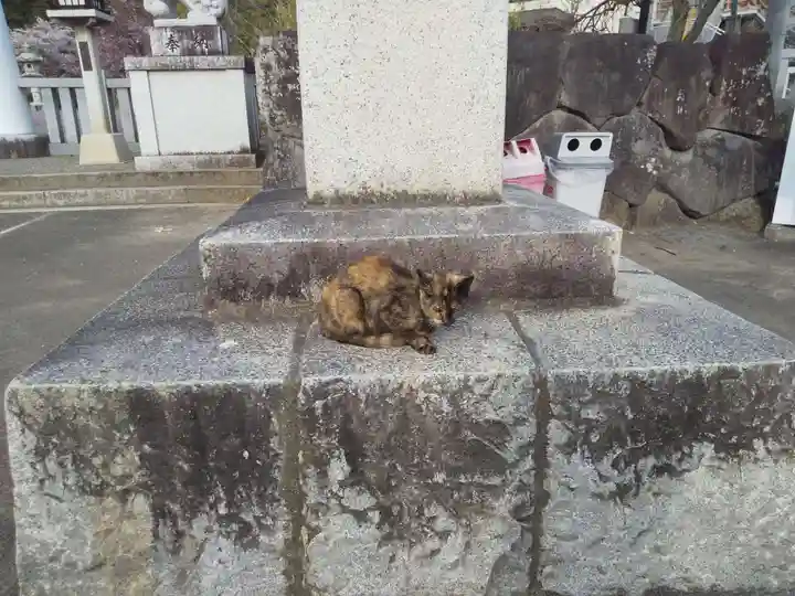 山梨縣護國神社の動物