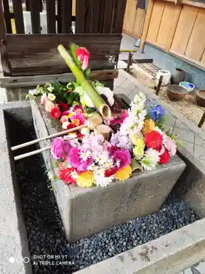 勝林寺の手水舎