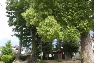 須佐男神社(奈良県)