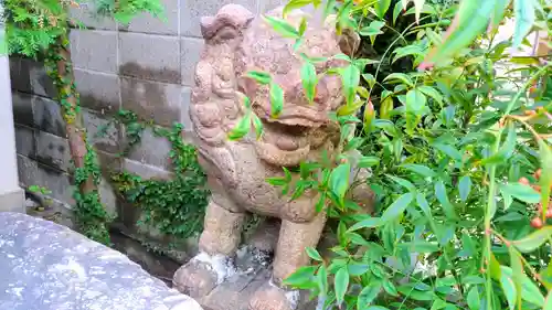 七本松神社の狛犬