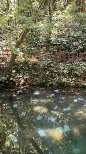 八重垣神社のおみくじ