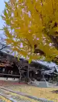 本願寺山科別院(京都府)