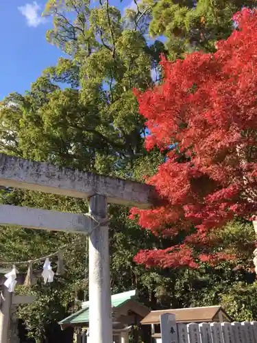 花岡神社の自然