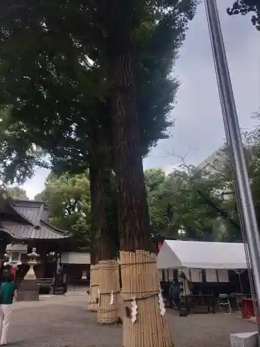 田無神社(東京都)