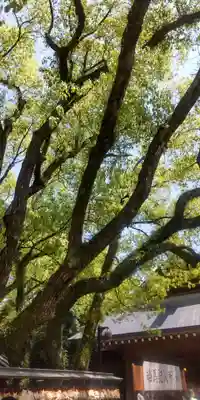 熱田神宮(愛知県)