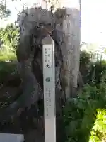 護王姫社の{uncategorized: "未分類", other: "その他", undefined: "問題あり", building: "その他建物", grave: "お墓", sacred_gate: "鳥居", guardian: "狛犬", statue: "像", buddha: "仏像", history: "歴史", nature: "自然", garden: "庭園", animal: "動物", pagoda: "塔", temizu: "手水舎", mountain_gate: "山門・神門", sanctuary: "本殿・本堂", subordinate: "末社・摂社", art: "芸術", scenery: "景色", jizo: "地蔵", ema: "絵馬", goshuin: "御朱印", omikuji: "おみくじ", items: "授与品その他", amulet: "お守り", goshuincho: "御朱印帳", eats: "食事", festival: "お祭り", votive_dance: "神楽", shichigosan: "七五三参", wedding: "結婚式", experience: "体験その他", initially: "初詣", around: "周辺", anti_infection: "感染症対策"}
