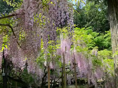 春日大社(奈良県)