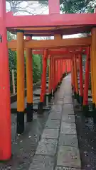 根津神社の鳥居