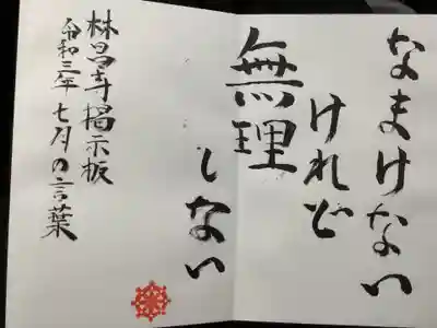 なまけないけれど　無理しない