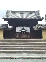 隨心院（随心院）の山門