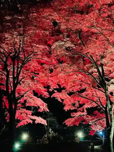 土津神社｜こどもと出世の神さまの景色