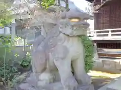 白山神社の狛犬