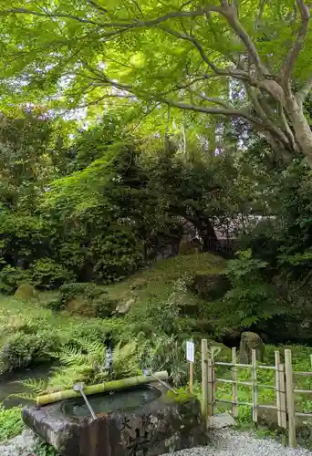 𠮷水神社（吉水神社）(奈良県)