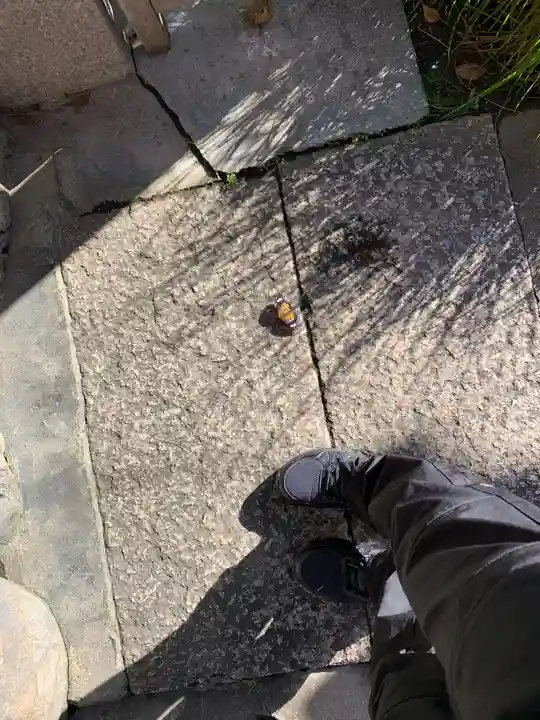 出町妙音堂の動物