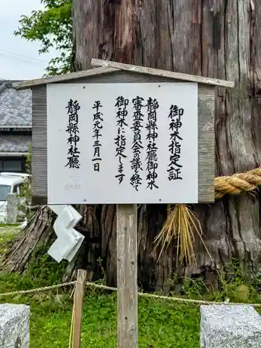 矢奈比賣神社（見付天神）(静岡県)