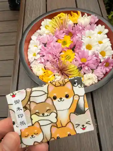 増上寺塔頭 三縁山 宝珠院の{uncategorized: "未分類", other: "その他", undefined: "問題あり", building: "その他建物", grave: "お墓", sacred_gate: "鳥居", guardian: "狛犬", statue: "像", buddha: "仏像", history: "歴史", nature: "自然", garden: "庭園", animal: "動物", pagoda: "塔", temizu: "手水舎", mountain_gate: "山門・神門", sanctuary: "本殿・本堂", subordinate: "末社・摂社", art: "芸術", scenery: "景色", jizo: "地蔵", ema: "絵馬", goshuin: "御朱印", omikuji: "おみくじ", items: "授与品その他", amulet: "お守り", goshuincho: "御朱印帳", eats: "食事", festival: "お祭り", votive_dance: "神楽", shichigosan: "七五三参", wedding: "結婚式", experience: "体験その他", initially: "初詣", around: "周辺", anti_infection: "感染症対策"}