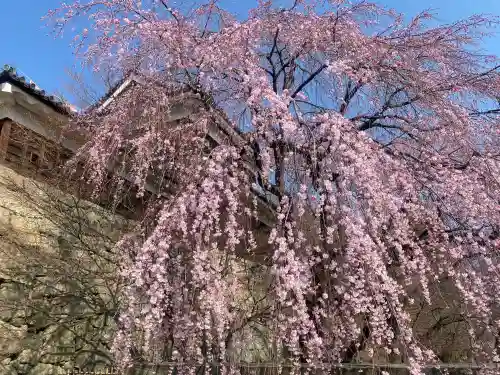 眞田神社の{uncategorized: "未分類", other: "その他", undefined: "問題あり", building: "その他建物", grave: "お墓", sacred_gate: "鳥居", guardian: "狛犬", statue: "像", buddha: "仏像", history: "歴史", nature: "自然", garden: "庭園", animal: "動物", pagoda: "塔", temizu: "手水舎", mountain_gate: "山門・神門", sanctuary: "本殿・本堂", subordinate: "末社・摂社", art: "芸術", scenery: "景色", jizo: "地蔵", ema: "絵馬", goshuin: "御朱印", omikuji: "おみくじ", items: "授与品その他", amulet: "お守り", goshuincho: "御朱印帳", eats: "食事", festival: "お祭り", votive_dance: "神楽", shichigosan: "七五三参", wedding: "結婚式", experience: "体験その他", initially: "初詣", around: "周辺", anti_infection: "感染症対策"}