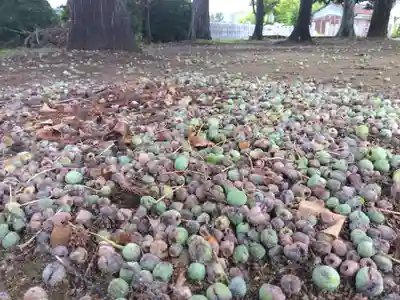 春日神社(福井県)