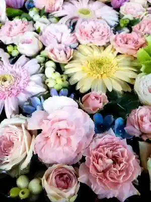 高円寺氷川神社の手水舎