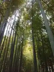 報国寺(神奈川県)