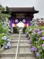 松源寺の山門・神門
