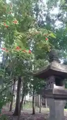 稲荷神社の建物その他