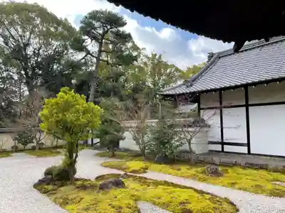 廬山寺(廬山天台講寺)(京都府)