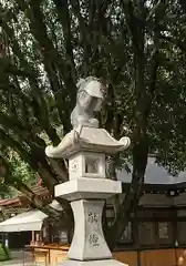 出水神社の狛犬