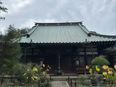 妙楽寺(神奈川県)
