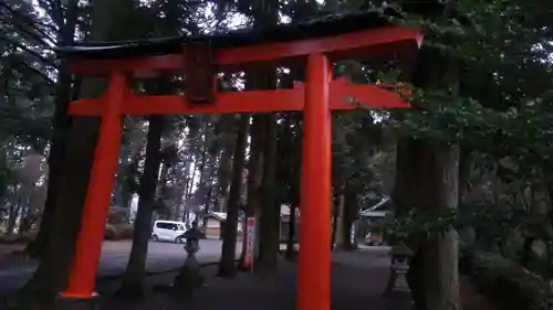 乙姫神社の鳥居