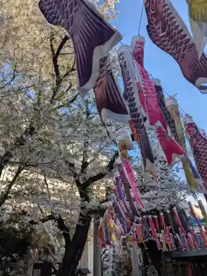 くまくま神社(導きの社 熊野町熊野神社)(東京都)