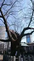 阿邪訶根神社の建物その他