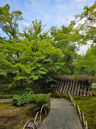 宝厳院(京都府)