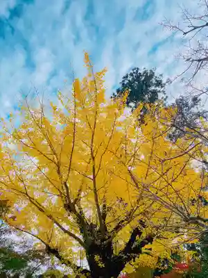 勝尾寺(大阪府)