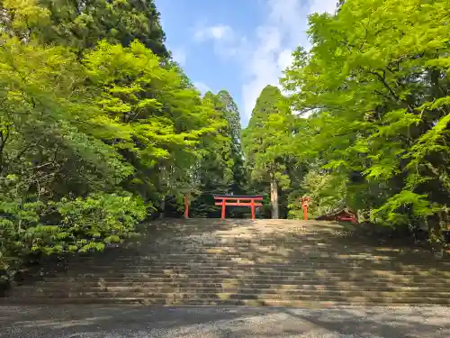 霧島神宮(鹿児島県)
